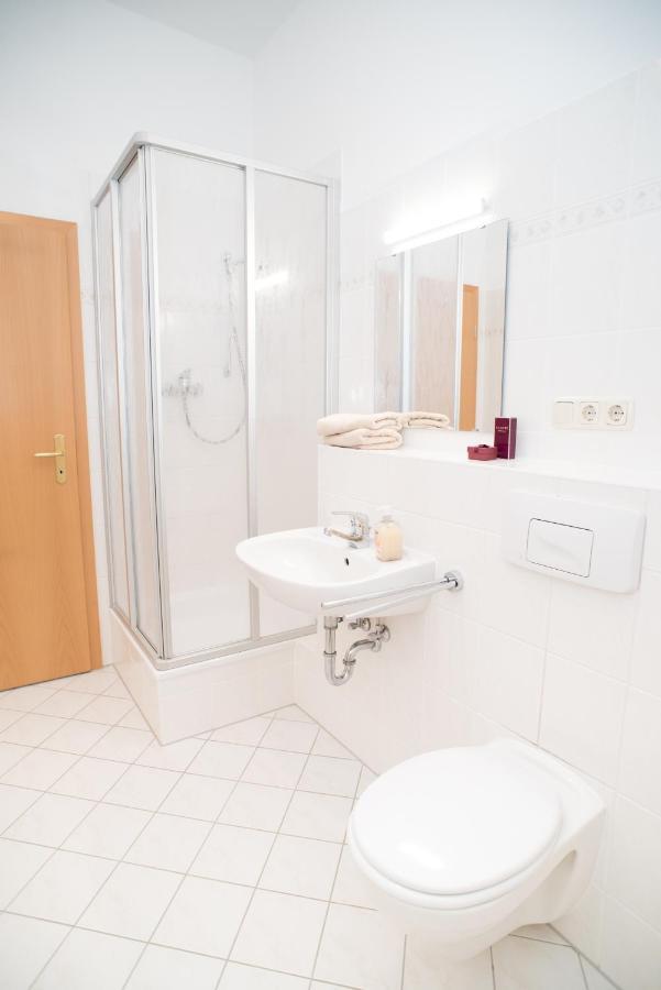 Stilvolle 1-Raum-Wohnung Zentral, Ruhig Gelegen Dresden Exterior foto